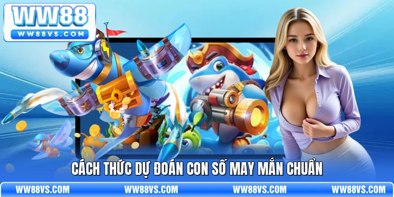 Cách thức dự đoán con số may mắn chuẩn