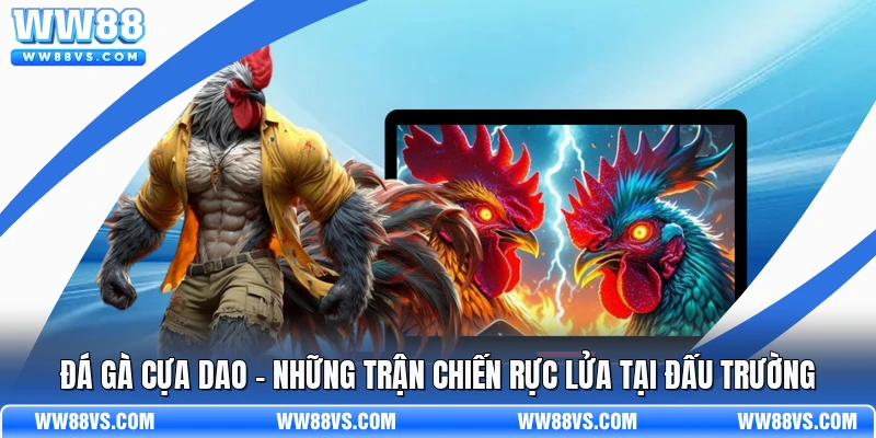 Đá Gà Cựa Dao - Những Trận Chiến Rực Lửa Tại Đấu Trường
